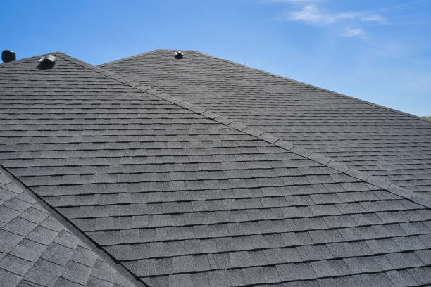 Best Roof Coating and Sealing  in St Augusta, MN